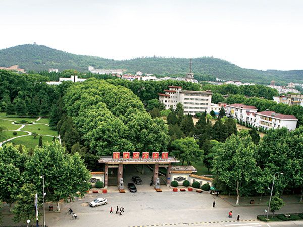 淮南礦業集團
